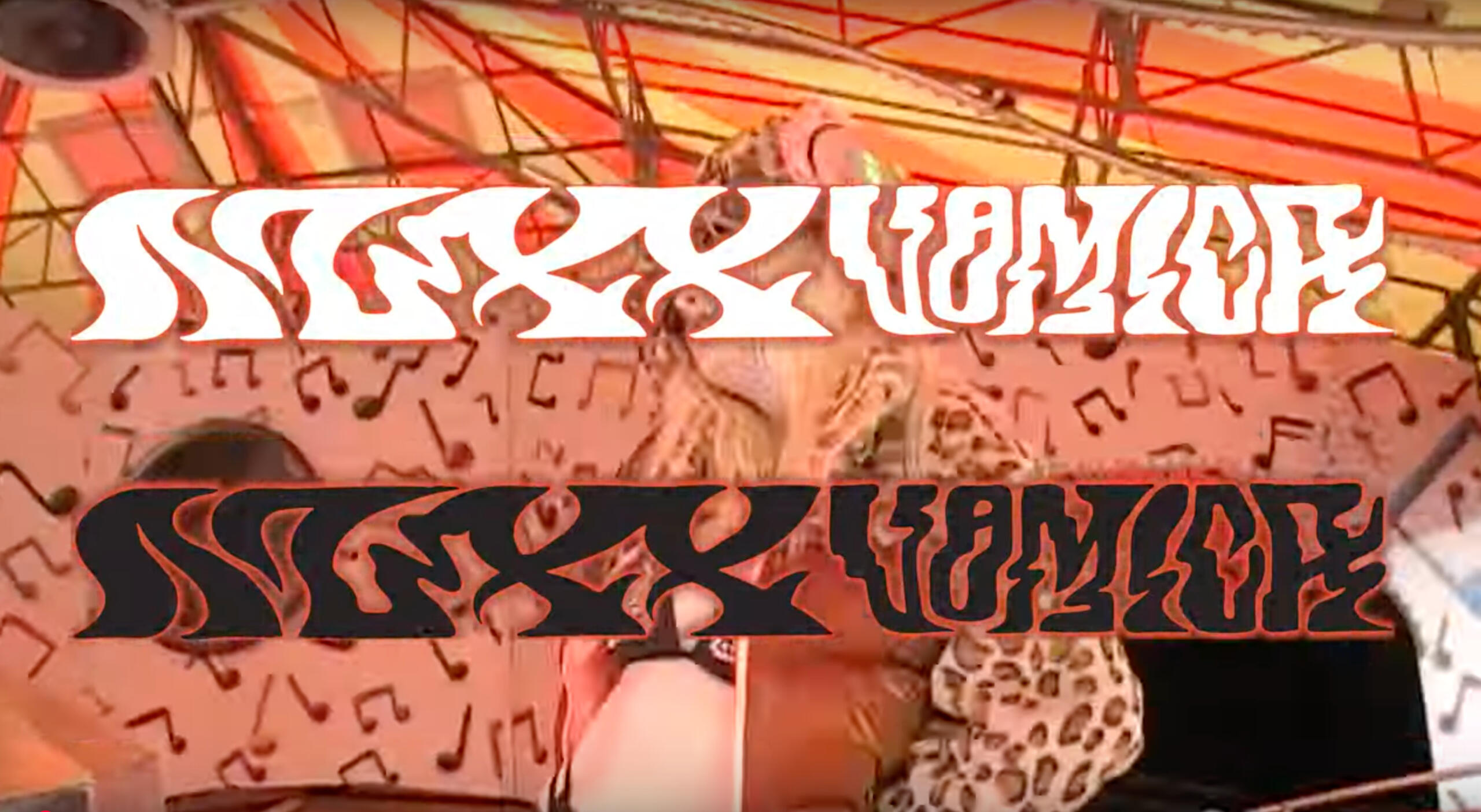 Nuxx Vomica - Bird Brain ; Director, Editor